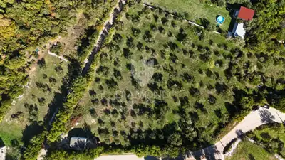 Maslinik 6.138 m², Drenje, Raša - panoramski pogled na more - 11