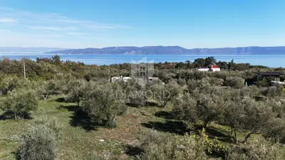 Maslinik 6.138 m², Drenje, Raša - panoramski pogled na more - 9