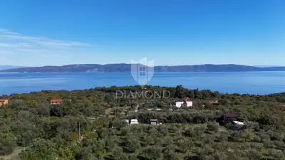 Maslinik 6.138 m², Drenje, Raša - panoramski pogled na more - 2