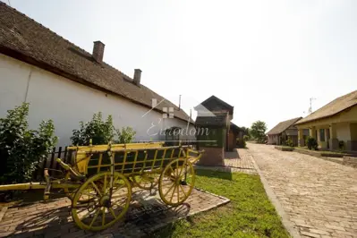 Imanje u Karancu, bazen i sauna - 2