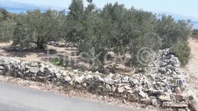 Građevinska parcela 2 022 m², Nečujam, 150 m od mora - 6