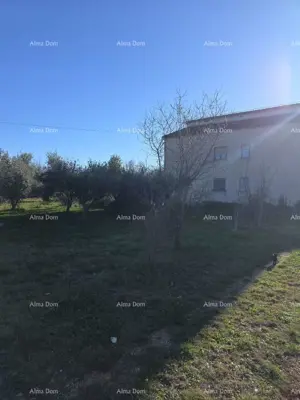 House 150 m², Marčana - peaceful yard with olive trees - 3