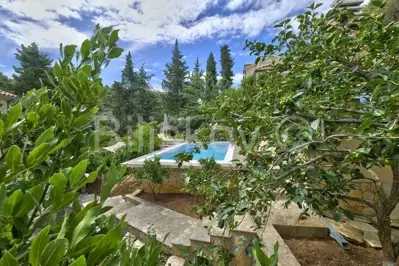 Brač, Splitska 2 kuće, bazen, okućnica 1000 m², 150m od mora - 3