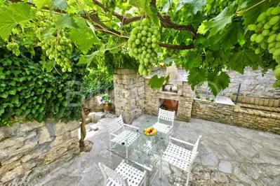 Brač, Splitska 2 kuće, bazen, okućnica 1000 m², 150m od mora - 4