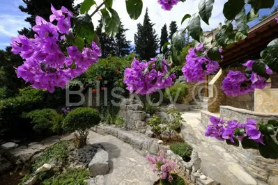 Brač, Splitska 2 kuće, bazen, okućnica 1000 m², 150m od mora - 5