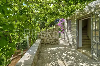 Brač, Splitska 2 kuće, bazen, okućnica 1000 m², 150m od mora - 6