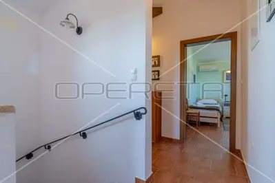 Villa 226 m², Svetvinčenat - pool and landscaped garden - 19