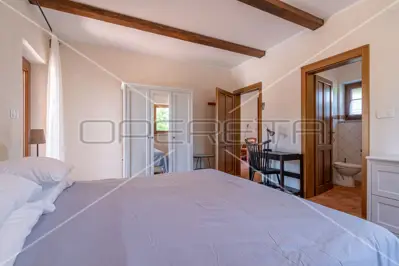 Villa 226 m², Svetvinčenat - pool and landscaped garden - 15