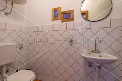 Villa 226 m², Svetvinčenat - pool and landscaped garden - 18