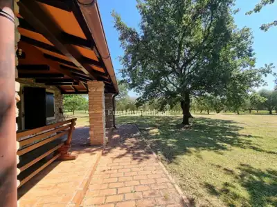 Kamena kuća 140 m², Poreč - veliko imanje i maslinik - 6