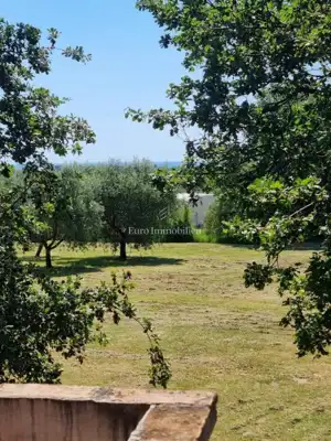 Kamena kuća 140 m², Poreč - veliko imanje i maslinik - 21