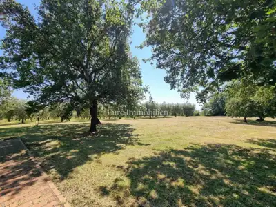 Kamena kuća 140 m², Poreč - veliko imanje i maslinik - 15