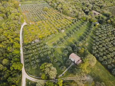 Kamena kuća 140 m², Poreč - veliko imanje i maslinik