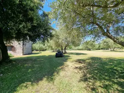 Kamena kuća 140 m², Poreč - veliko imanje i maslinik - 14