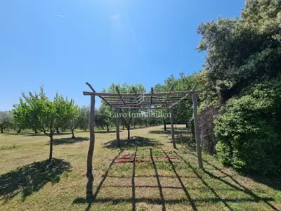 Kamena kuća 140 m², Poreč - veliko imanje i maslinik - 18