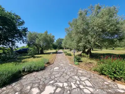 Kamena kuća 140 m², Poreč - veliko imanje i maslinik - 9