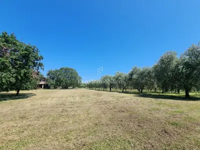 Kamena kuća 140 m², Poreč - veliko imanje i maslinik - 12