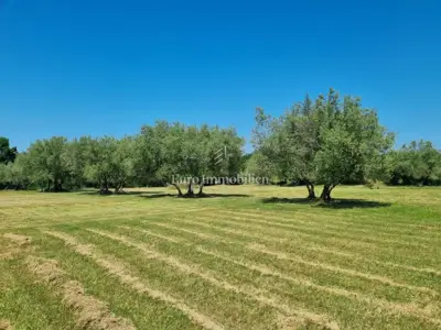 Kamena kuća 140 m², Poreč - veliko imanje i maslinik - 17