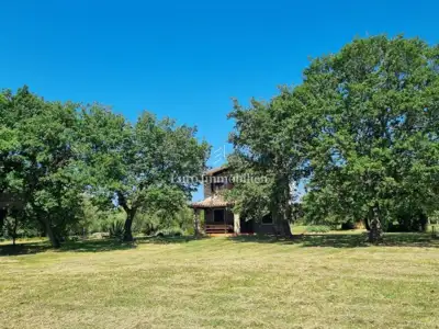 Kamena kuća 140 m², Poreč - veliko imanje i maslinik - 10