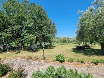 Kamena kuća 140 m², Poreč - veliko imanje i maslinik - 16