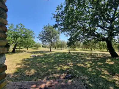 Kamena kuća 140 m², Poreč - veliko imanje i maslinik - 20