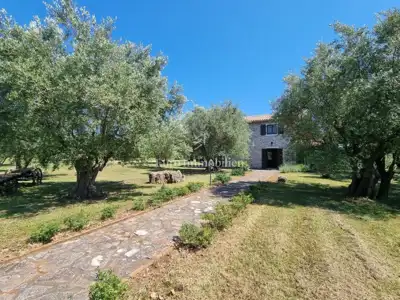 Kamena kuća 140 m², Poreč - veliko imanje i maslinik - 8