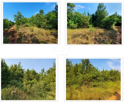 Land 11,259 m², Diklići near Kaštelir - forest for economic use
