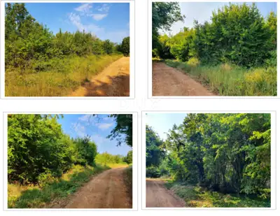 Zemljište 11.259 m², Diklići kod Kaštelira - šuma gospodarske namjene - 2