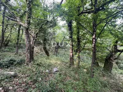 Land, Mošćenička Draga - peace and privacy in nature - 4