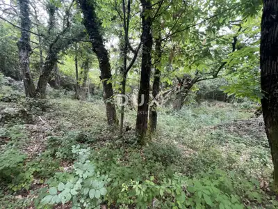 Land, Mošćenička Draga - peace and privacy in nature - 2