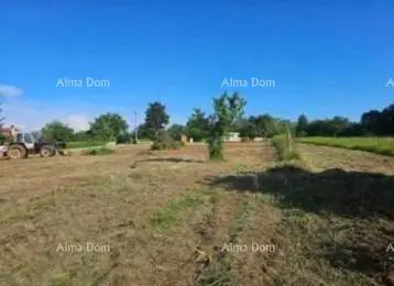 Građevinsko zemljište, Žminj, Balići I - mirna lokacija i privatnost - 5