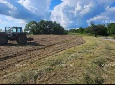 Građevinsko zemljište, Žminj, Balići I - mirna lokacija i privatnost