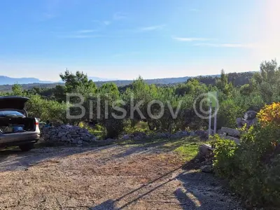Landwirtschaftsfläche 10 970 m², Mirca auf Brač, Olivenbäume - 6
