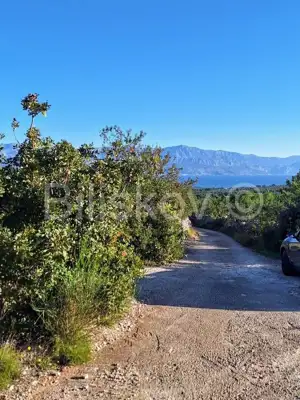 Landwirtschaftsfläche 10 970 m², Mirca auf Brač, Olivenbäume - 3