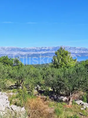 Landwirtschaftsfläche 10 970 m², Mirca auf Brač, Olivenbäume - 2