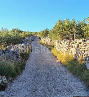 Landwirtschaftsfläche 10 970 m², Mirca auf Brač, Olivenbäume - 9