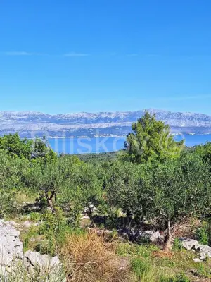 Poljoprivredno zemljište 10 970 m², Mirca na Braču, masline - 2