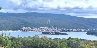 Olive grove near the town of Krk, access, view