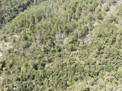 Grundstück zum Kauf in Rabac - 8