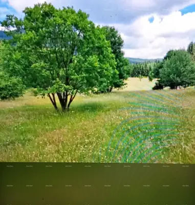 Odlično gradevinsko zemljište u blizini Poreča