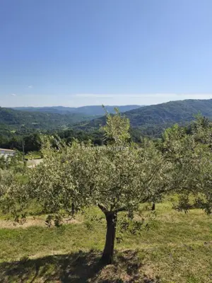 Building land 2,744 m², Račice - panoramic views - 8