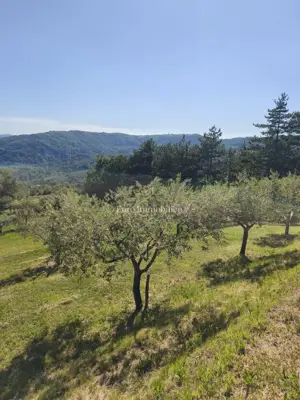 Building land 2,744 m², Račice - panoramic views - 7