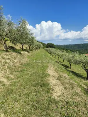 Building land 2,744 m², Račice - panoramic views - 3
