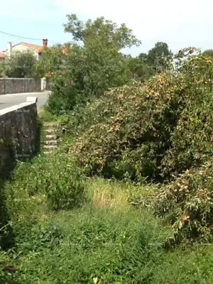 Haus 200 m², Sveti Petar u Šumi - altes istrisches Steinhaus - 3
