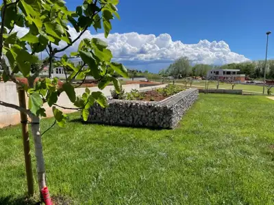 Kaštelir, single-storey house on a spacious yard, opportunity! - 3
