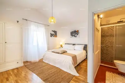 Renovated Istrian house with pool - Butkovići - 19