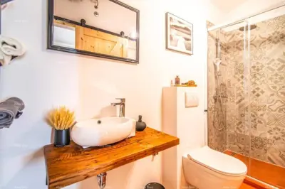 Renovated Istrian house with pool - Butkovići - 16