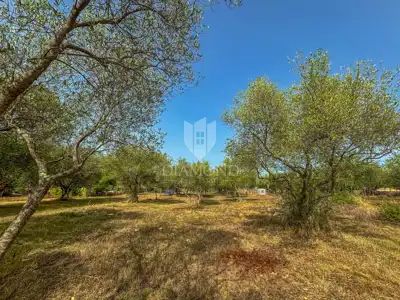 Baugrundstück 1.300 m², Buje - Blick auf die Stadt - 3
