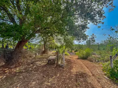 Baugrundstück 1.300 m², Buje - Blick auf die Stadt - 6