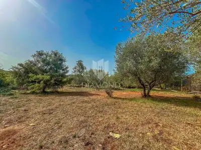 Baugrundstück 1.300 m², Buje - Blick auf die Stadt - 4